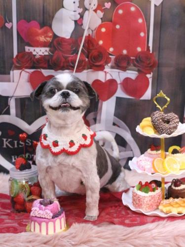 20250212大吉くん